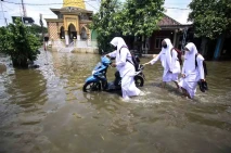 Banjir Setinggi 50 Cm...