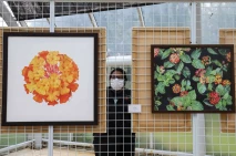 Melihat Pameran Seni...