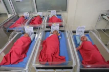Bayi-bayi Lucu Ini Lahir...