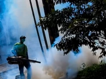 Waspada, Kasus DBD di...