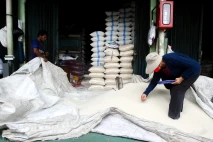 Badan Pangan Nasional...