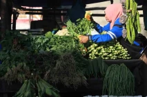 Peningkatan Permintaan...