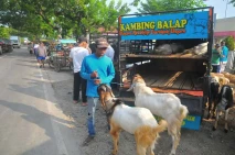 Pasar Hewan Ditutup,...