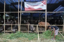 Pemerintah Berikan Ganti...