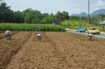 Potret Desa Wisata Karangrejo...