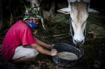 Anies Baswedan Pastikan...