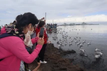 Melihat Migrasi Burung...