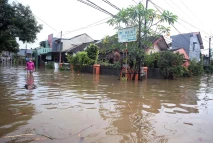 Banjir Setinggi 50-100...