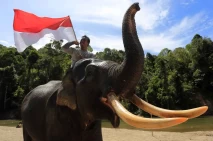 Pengibaran Bendera Merah...