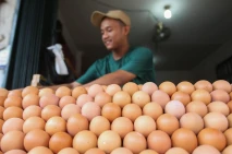 Tertinggi Sepanjang...