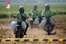 Balap Motor Ojek Gabah...
