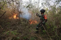 Kebakaran Puluhan Hektare...