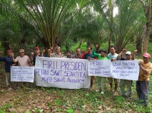 Petani Sawit Bangka...