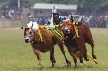 Beradu Cepat di Lomba...