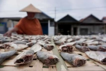 Penjemuran Ikan Terkendala...