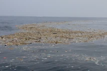 Sampah Laut Cemari Dermaga...