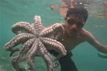 Aksi Nelayan Suku Bajo...