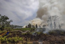 Kebakaran Hutan dan...