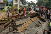 Angin Kencang Tumbangkan...