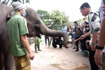 Solo Safari Resmi Dibuka