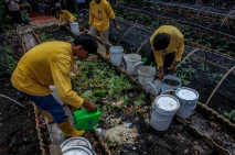 Peringatan Hari Peduli...