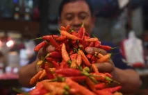 Harga Cabai Rawit Naik...