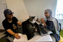 Serunya Bermain Bersama...