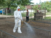 Pastikan Daging Sapi...