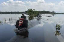 Kawasan Lumbung Padi...