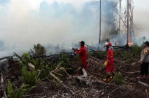 Kebakaran Hutan Gambut...