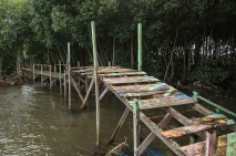 Ekowisata Mangrove di...