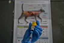 Permintaan Vaksin Rabies...