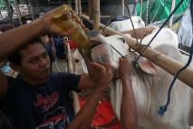 Pemberian Vitamin dan...