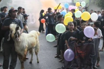 Tradisi Pawai Hewan...
