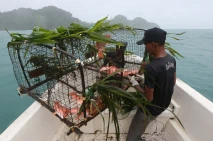 Penangkapan Ikan Ramah...