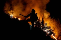 Kebakaran Hutan Semakin...