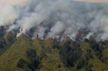 Kebakaran Hutan dan...