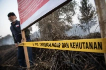 Penyegelan Lahan Terbakar...