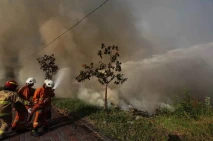 Kebakaran Lahan di Kawasan...