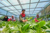 Pertamina Patra Niaga...