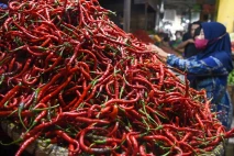 Kenaikan Harga Cabai...