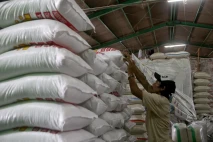 Harga Beras Naik, Pemerintah...