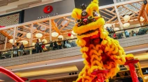 Festival Naga Barongsai...