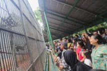 Taman Margasatwa Ragunan...