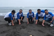 Pelepasan Tukik di Gianyar...