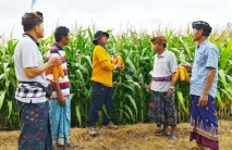 Syngenta Perkenalkan...