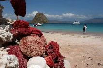 Liburan ke Pantai Pink...