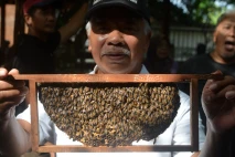 Setetes Manis Pahitnya...
