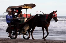 Wisata Delman di Pantai...
