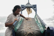 Limbah Cangkang Kerang...